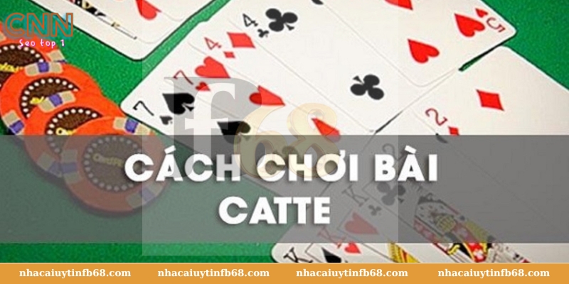 Cách Chơi Bài Catte Nhacaiuytin789