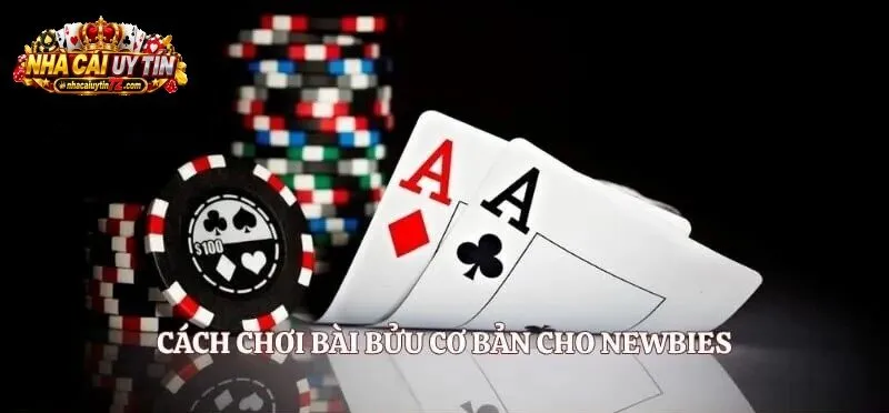 Cách Chơi Bài Bửu Nhà Cái Uy Tín cơ bản cho newbies